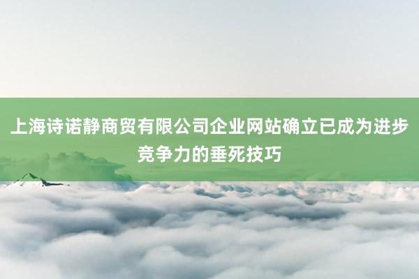 上海诗诺静商贸有限公司企业网站确立已成为进步竞争力的垂死技巧
